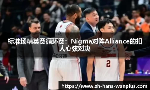 玩加电竞平台